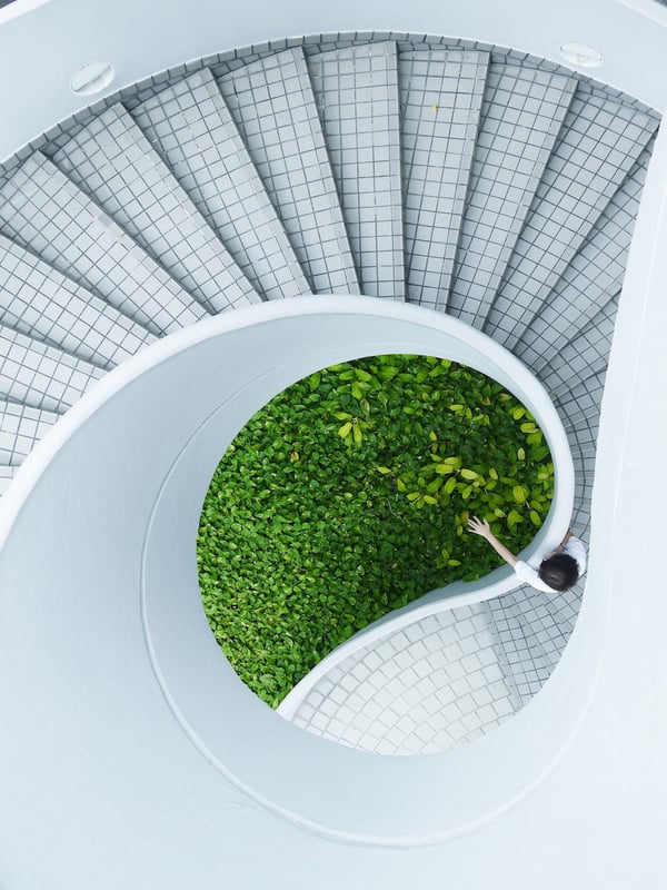 staircase nature building